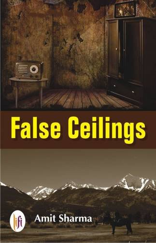 False Ceilings book cover