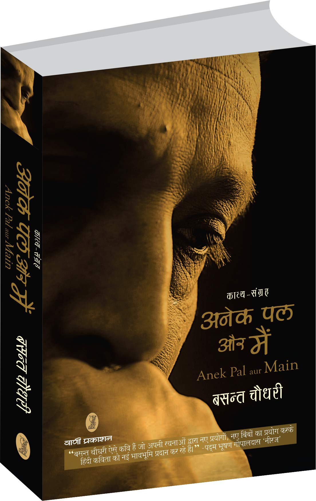Anek Pal Aur Mai book cover