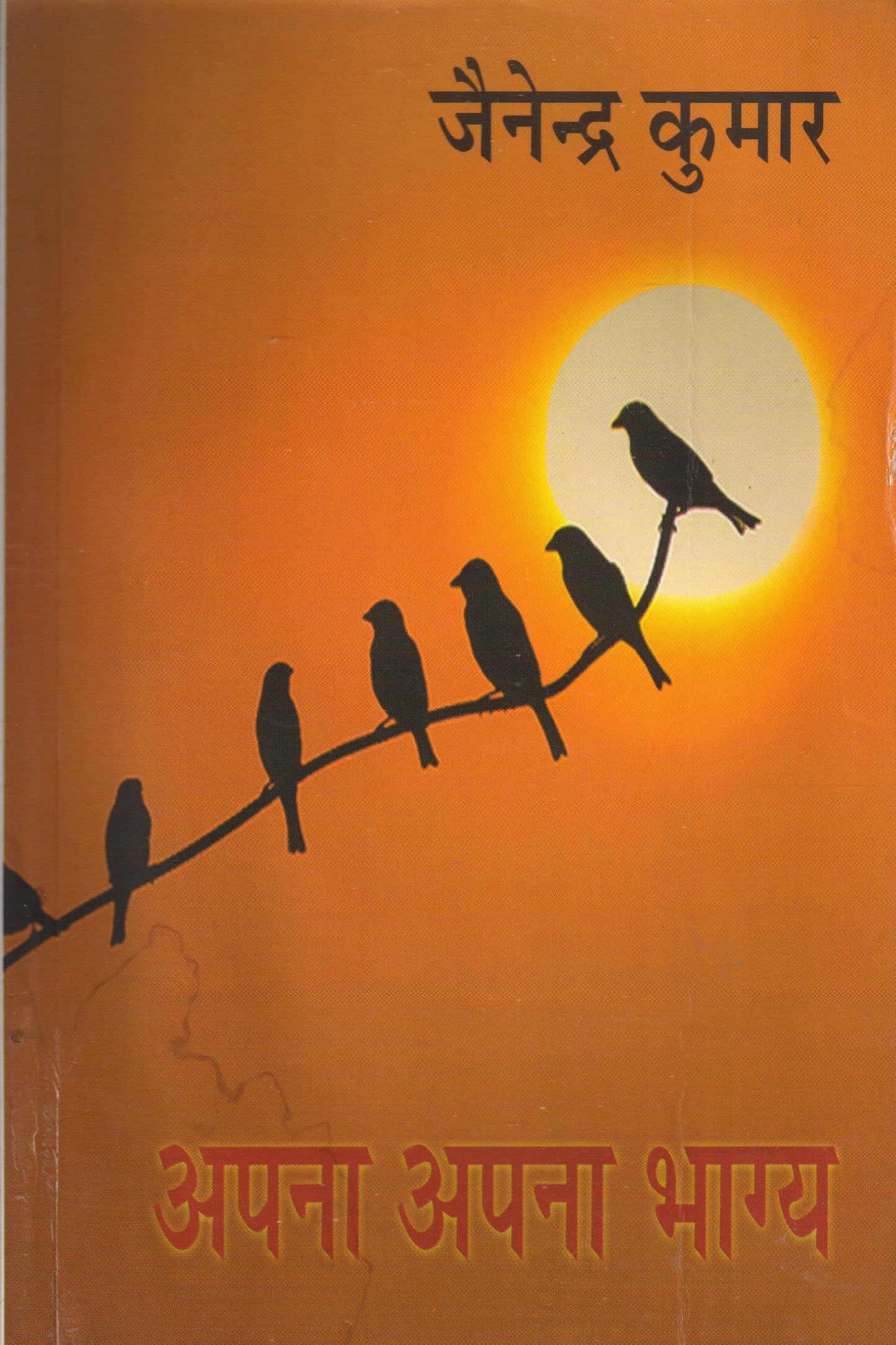 Apna Apna Bhagya book cover