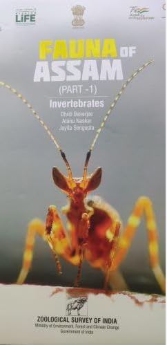 Fauna of Assam (Part- 1) Invertebrates book cover