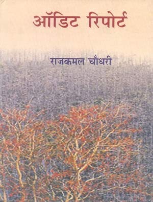 Audit Report book cover