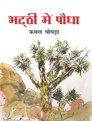 Bhatthi Mein Paudha  book cover