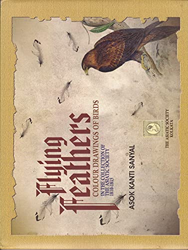 Flying Feathers  book cover