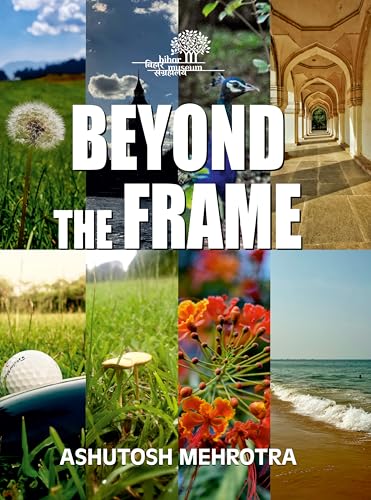 Beyond the Frame by Ashutosh Mehrotra