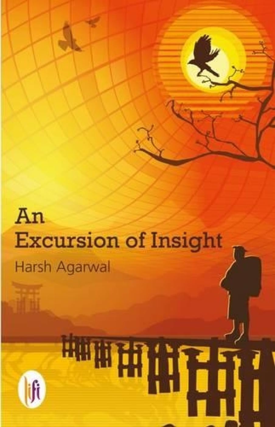 An Excursion of Insight book cover