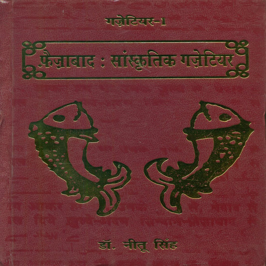 Hardoi Sanskritik Gazetteer-2 book cover