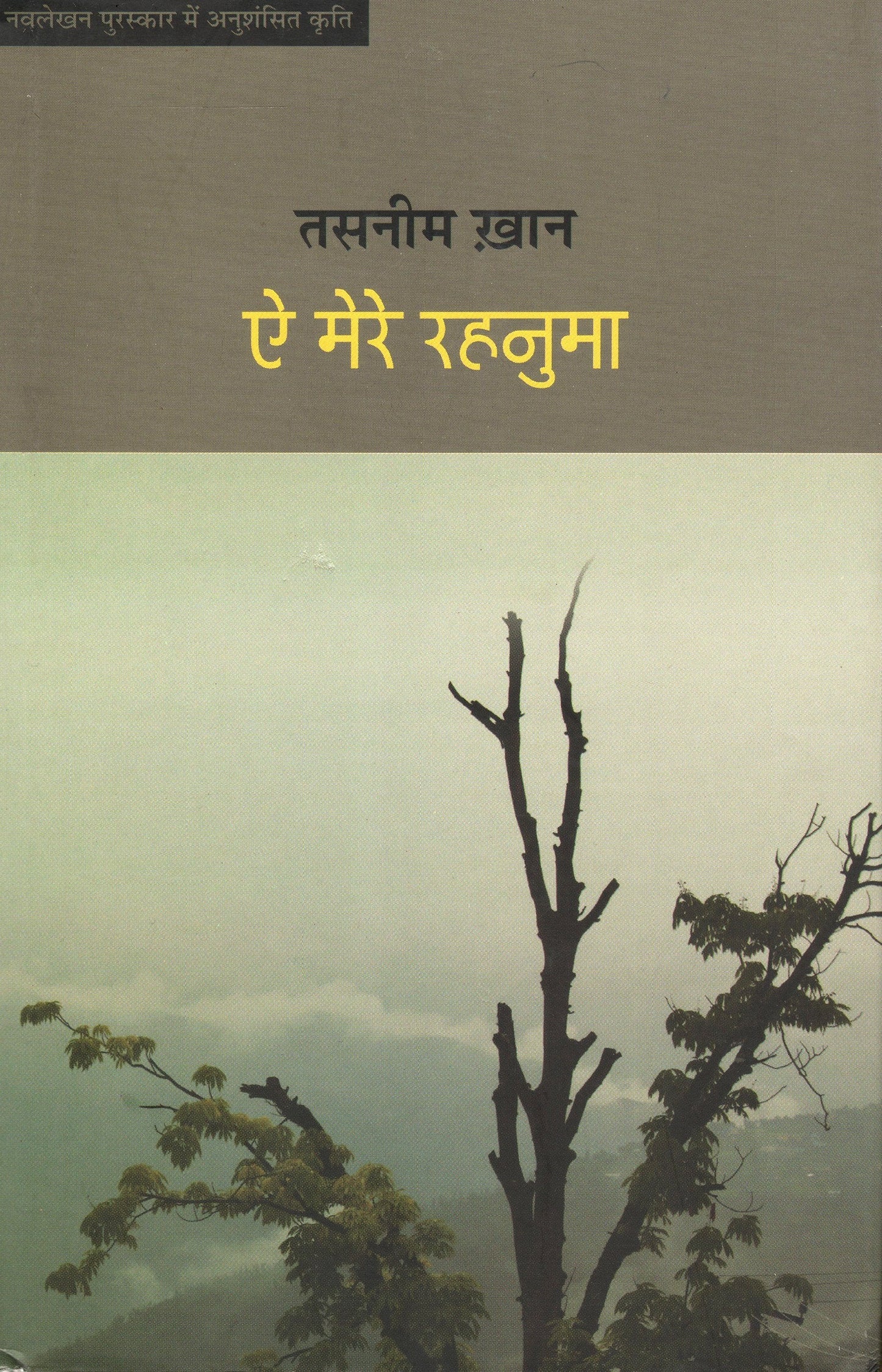 Ae Mere Rehnuma  book cover