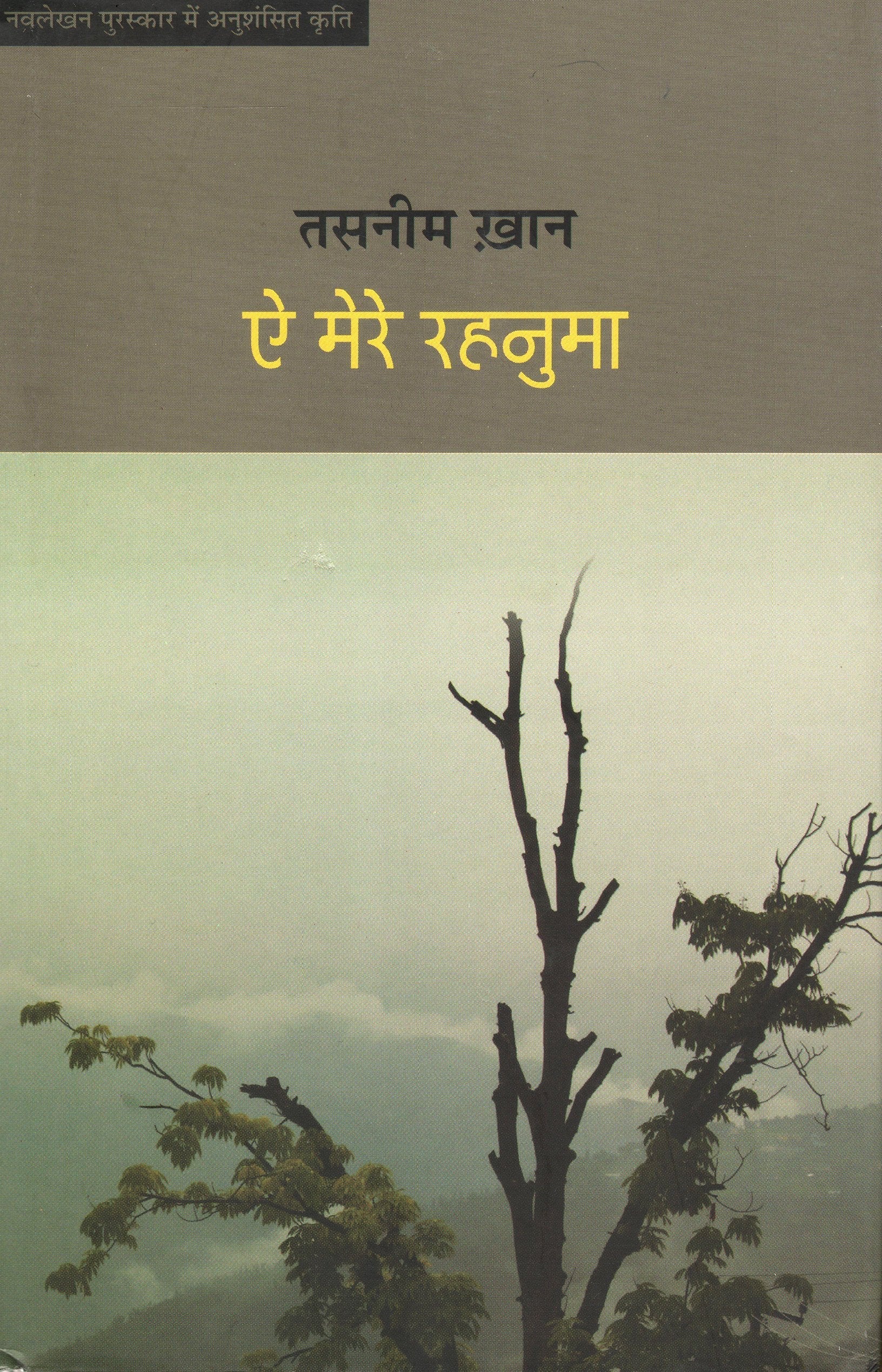 Ae Mere Rehnuma  book cover