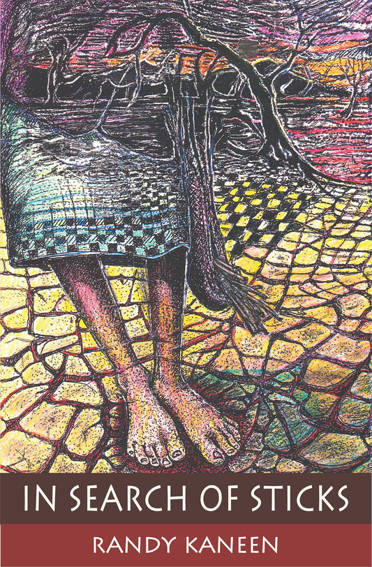 In Search of Sticks book cover